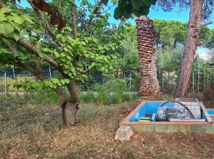 Terreno agricolo in vendita a Piombino