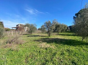 Terreno agricolo in vendita a Zagarolo