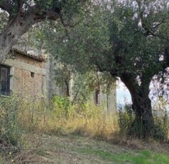 Terreno edificabile in vendita a Castiglione Cosentino