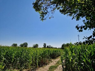 Terreno edificabile in vendita a Dueville