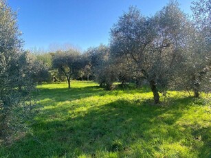 Terreno edificabile in vendita a Zagarolo