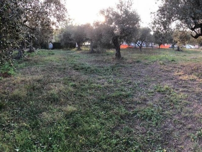 terreno agricolo in vendita a CittÃÂ  Sant'Angelo
