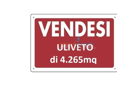 Terreno Agricolo in vendita in via andreotti 2, Pietrasanta