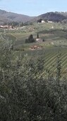 Terreno coltivabile 14000mq prezzo eur.45.000,00 privato a un km Greve in Chianti