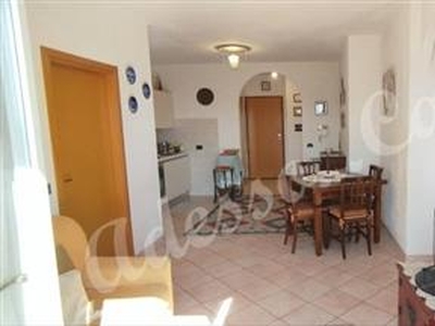 Appartamento residenziale buono/abitabile Punta Marina