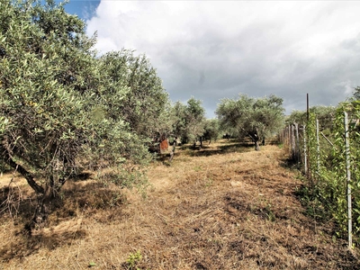 Terreno agricolo in Vendita a Bagheria Via Giovanni Guareschi