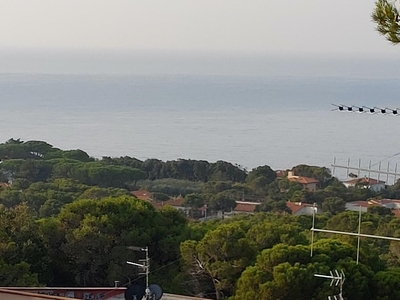 Trilocale con giardino, Livorno quercianella