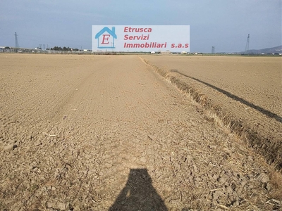 Azienda agricola in Vendita a Campiglia Marittima