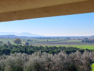 Rustico casale in vendita a Magliano In Toscana Grosseto Collecchio