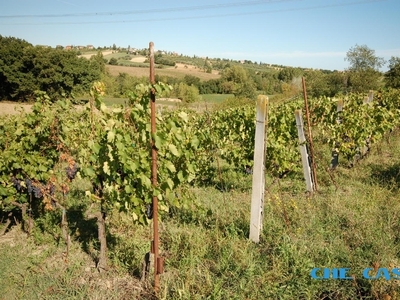 Terreno Agricolo a 1,5 Km dal centro di Morciano