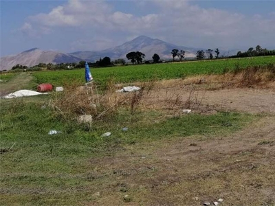 terreno agricolo in vendita a Castel Volturno