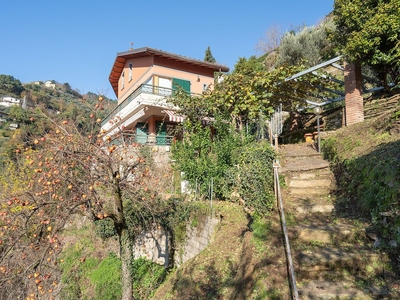 Villa Vigna