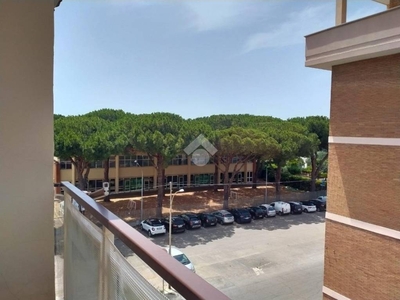 Appartamento in affitto a Terracina via Domenico Ricci, 4