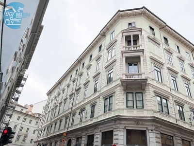 Appartamento in affitto a Trieste via Matteo Renato Imbriani, 4