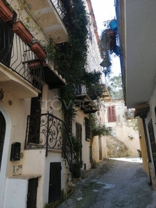 Appartamento in in affitto da privato a San Felice Circeo via Anna Magnani, 5