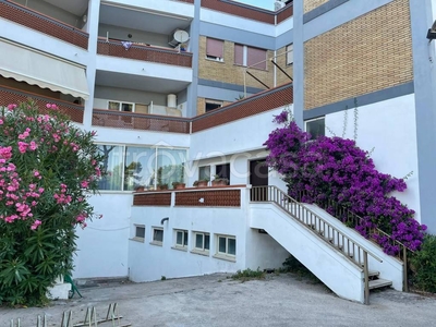Appartamento in in affitto da privato a San Felice Circeo via Terracina, 144