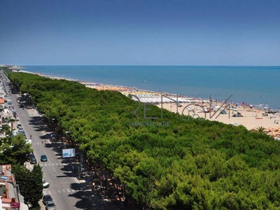 Esercizio commerciale in vendita a Alba Adriatica