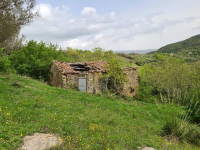 Terreno agricolo in vendita a Ogliastro Cilento