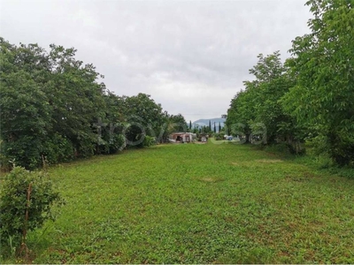 Terreno Agricolo in vendita a Rosà accesso Strada Vicinale San Pietro