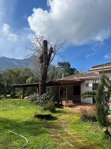 Villa in vendita a Sabaudia via delle Felci