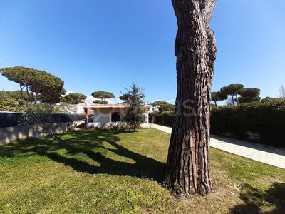 Villa in in affitto da privato a Terracina lido delle Ortensie