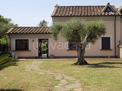 Villa in in affitto da privato a Trevignano Romano via di Mezzo Inferiore, 43/a
