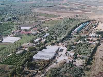 Azienda Agricola in vendita a Sciacca