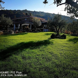 La Collina dei Goti Agriturismo ,Azienda Agricola