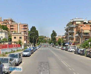 Monolocale arredato Boccea, torrevecchia, pineta sacchetti, selva candida, ottavia