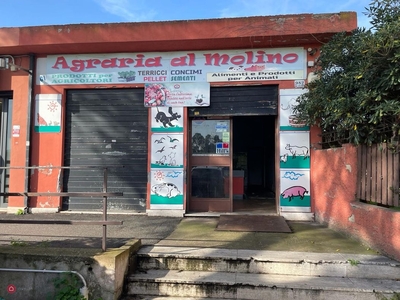 Negozio/Locale commerciale in Affitto in Via Ardeatina 982 a Roma