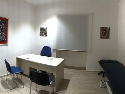 Studio in Affitto a Torino, zona Crocetta, 140 m², arredato
