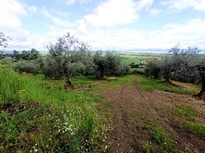 Terreno in Vendita ad Panicale - 45000 Euro