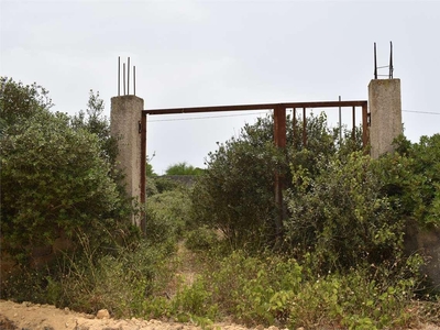 Vendita Terreno Agricolo Mazara del Vallo