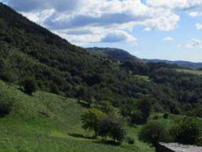 Vendita Terreno Agricolo Sant'Anna d'Alfaedo