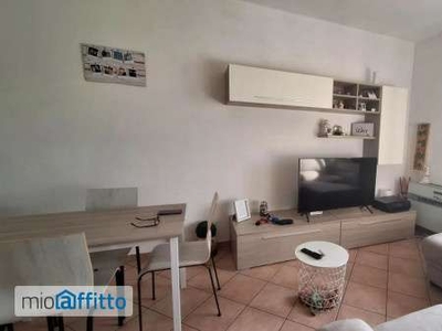 Appartamento arredato con terrazzo Cascina