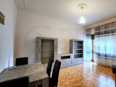 Appartamento in affitto a Firenze - Zona: Novoli / Firenze Nova / Firenze Nord