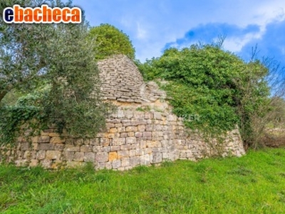 Baita/Chalet/Trullo a..