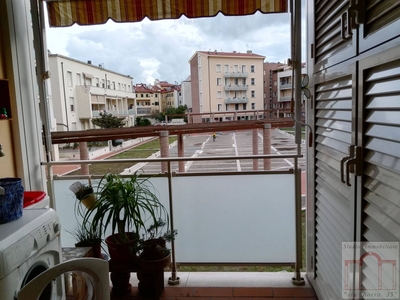 Bilocale in affitto a Livorno - Zona: Centro
