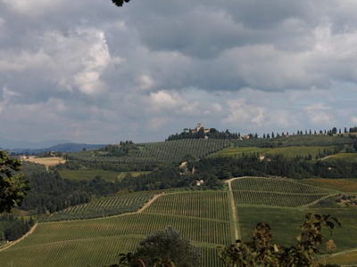 Bilocale in affitto a Montespertoli