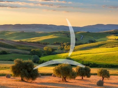 Agriturismo Biologico in Vendita a Pieve Santo Stefano