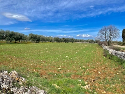 Terreno agricolo in vendita a Acquaviva Delle Fonti