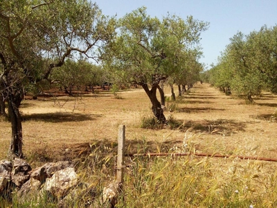 Terreno agricolo in vendita a Acquaviva Delle Fonti