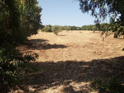 Terreno agricolo in vendita a Acquaviva Delle Fonti