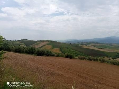 Terreno agricolo in vendita a Castel Frentano