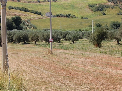 Terreno agricolo in vendita a Pineto