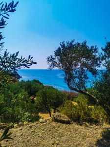 terreno agricolo in vendita a Sciacca