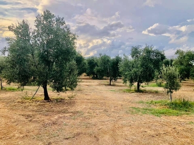 Terreno edificabile in vendita a Sannicandro Di Bari