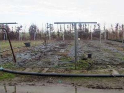 terreno residenziale in vendita a Acquanegra sul Chiese