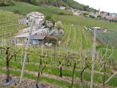 terreno residenziale in vendita a Valdobbiadene