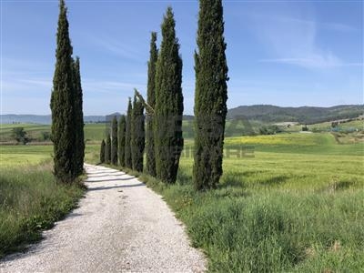 Terratetto a Orciano Pisano